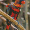 Dusky Lory Diamond Paintings