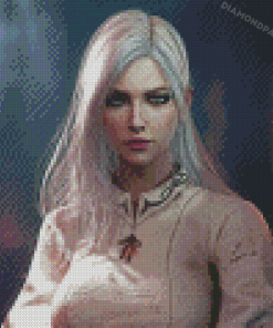 Fantasy White Hair Woman Diamond Paintings