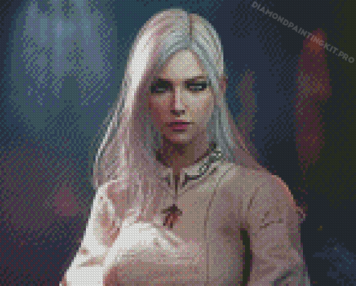 Fantasy White Hair Woman Diamond Paintings