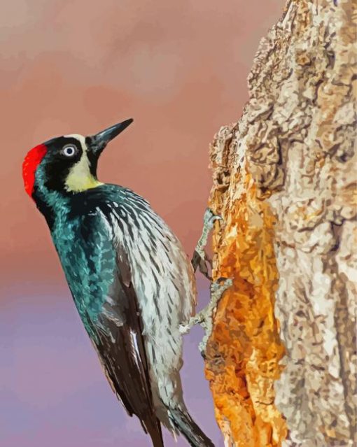 Female Acorn Woodpecker Diamond Paintings