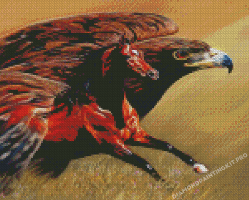 Horse With Eagle Bird Diamond Painting