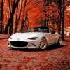 Miata In Fall Forest Diamond Paintings