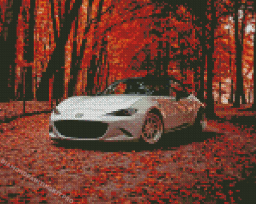 Miata In Fall Forest Diamond Paintings