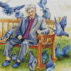 Old Man Feeding Birds Diamond Paintings