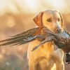 Pheasant Hunting With Puppy Diamond Painting