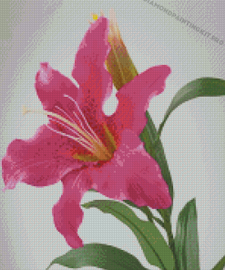 Pink Lily Flower Diamond Paintings
