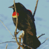 Red Winged Blackbird On Stick Diamond Painting