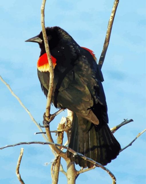 Red Winged Blackbird On Stick Diamond Painting