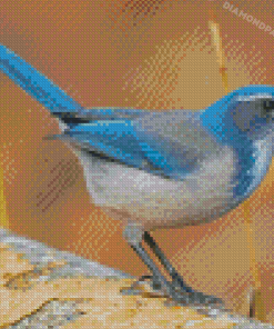 Scrub Jays On Stick Diamond Paintings