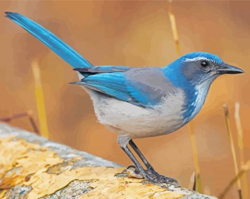 Scrub Jays On Stick Diamond Paintings