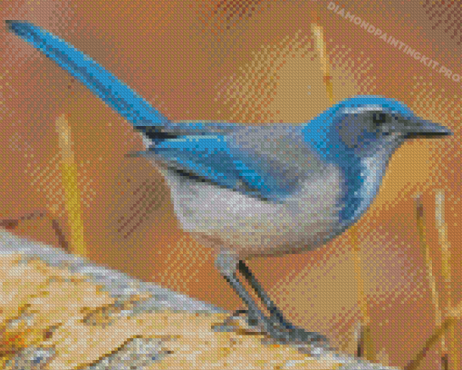 Scrub Jays On Stick Diamond Paintings