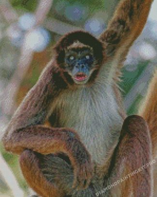 Spider Monkey Venezuela South America Diamond Painting
