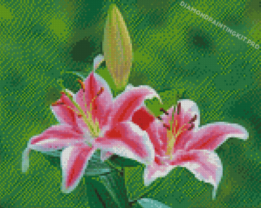 Stargazer Lily Diamond Painting