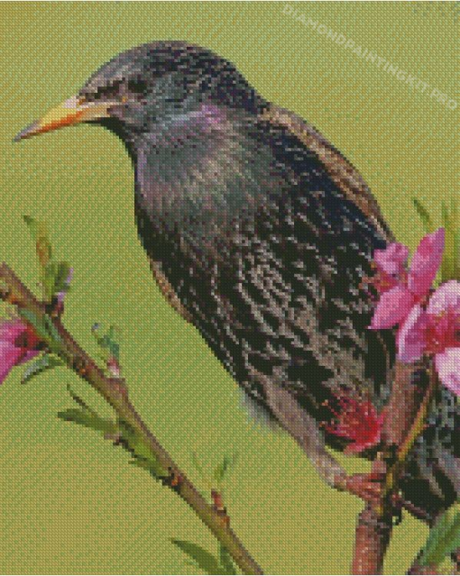 Starling On A Branch Diamond Painting