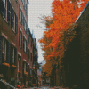 street Boston In Autumn Diamond Painting