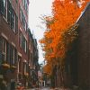 street Boston In Autumn Diamond Painting