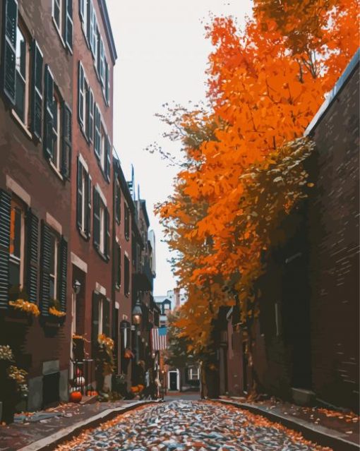 street Boston In Autumn Diamond Painting