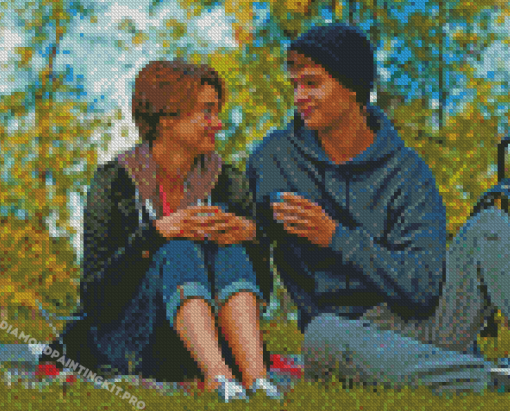 The Fault In Our Stars Diamond Paintings