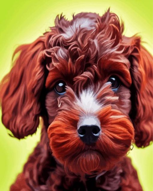 Aesthetic Brown Cockapoo Diamond Paintings