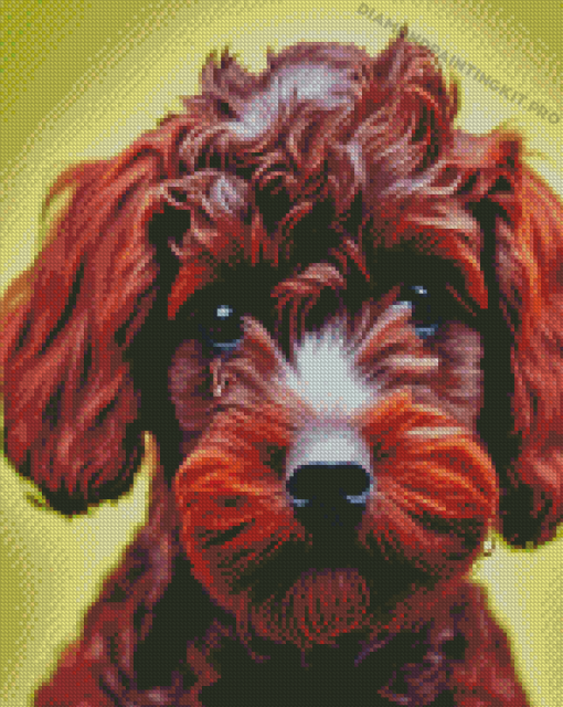 Aesthetic Brown Cockapoo Diamond Paintings