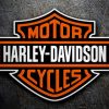 Aesthetic Harley Davidson Logo Diamond Paintings