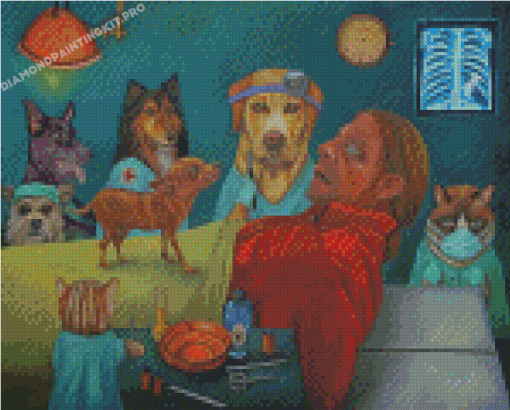 Aesthetic Veterinarian Diamond Paintings