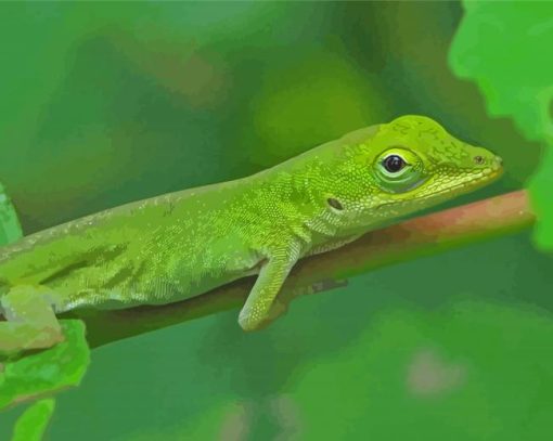 Anole Lizard On Stick Diamond Paintings