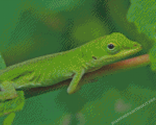 Anole Lizard On Stick Diamond Paintings