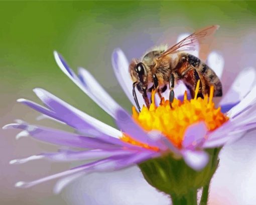 Bee On Purple Flower Diamond Paintings