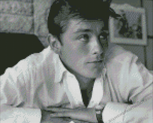 Black And White Alain Delon Diamond Paintings