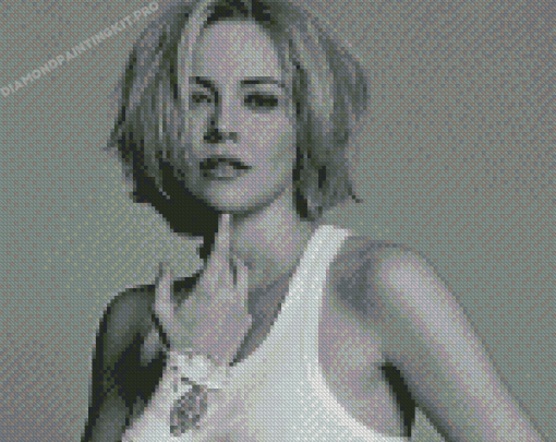 Black And White Sharon Stone Diamond Paintings