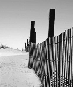 Black And White Chincoteague Beach Diamond Paintings