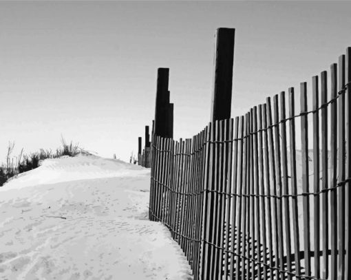 Black And White Chincoteague Beach Diamond Paintings