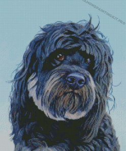 Black Cockapoo Dog Animal Diamond Paintings