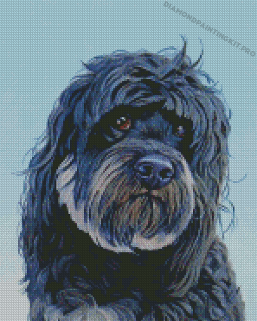 Black Cockapoo Dog Animal Diamond Paintings