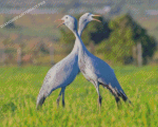 Blue Crane Birds Diamond Paintings