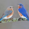 Bluebirds Diamond Paintings