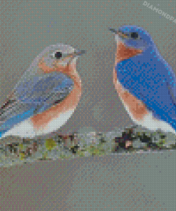 Bluebirds Diamond Paintings
