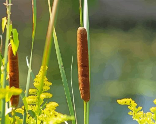 Cattail Plant Diamond Paintings