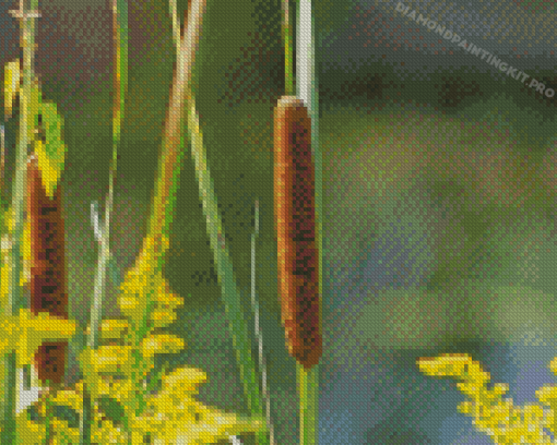 Cattail Plant Diamond Paintings