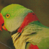 Close Up Alexandrine Parakeet Bird Diamond Paintings