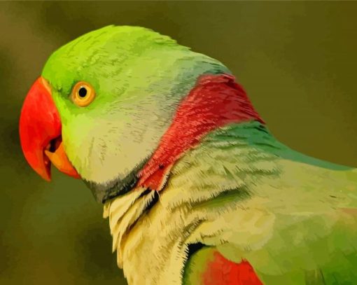 Close Up Alexandrine Parakeet Bird Diamond Paintings