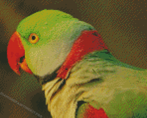 Close Up Alexandrine Parakeet Bird Diamond Paintings