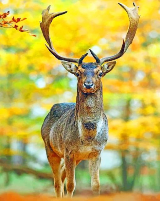 Deer In Autumn Forest Diamond Paintings
