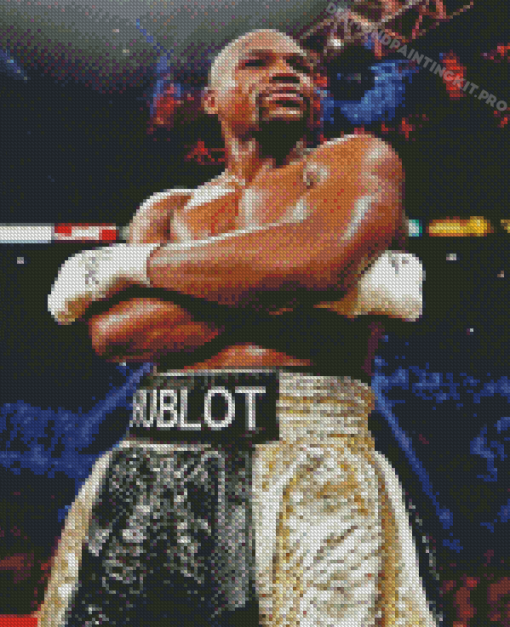 Floyd Mayweather American Boxer Diamond Paintings