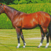 Frankel Horse Diamond Paintings