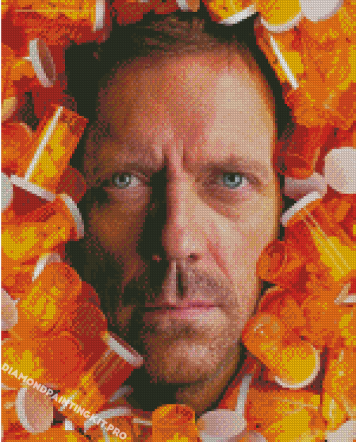 Gregory House Diamond Paintings