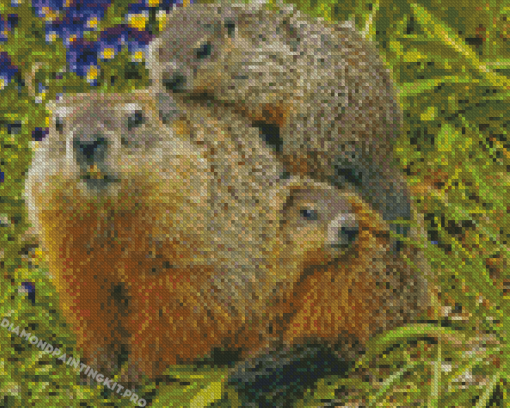 Groundhogs Diamond Paintings