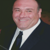 James Gandolfini Diamond Paintings