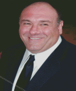 James Gandolfini Diamond Paintings